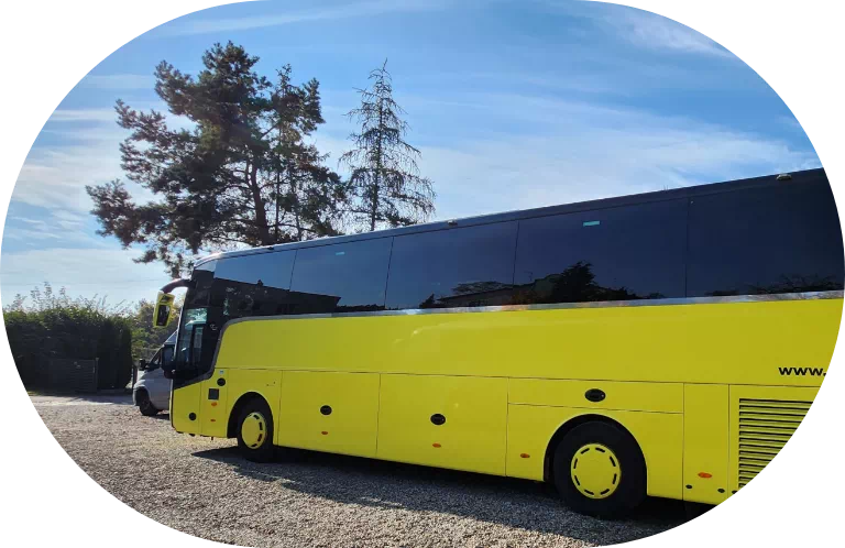 żółty bus